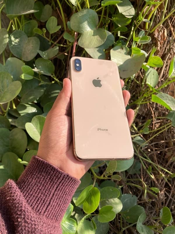 iphone xs max 5