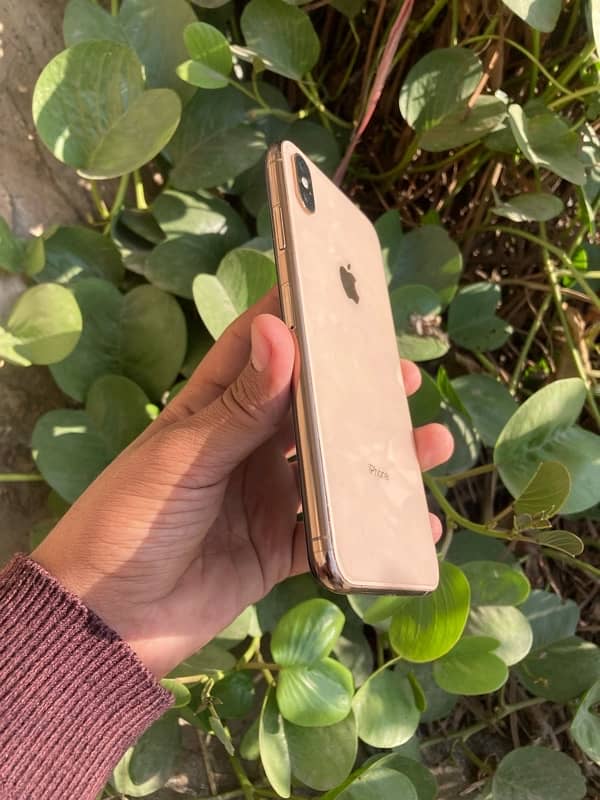 iphone xs max 10