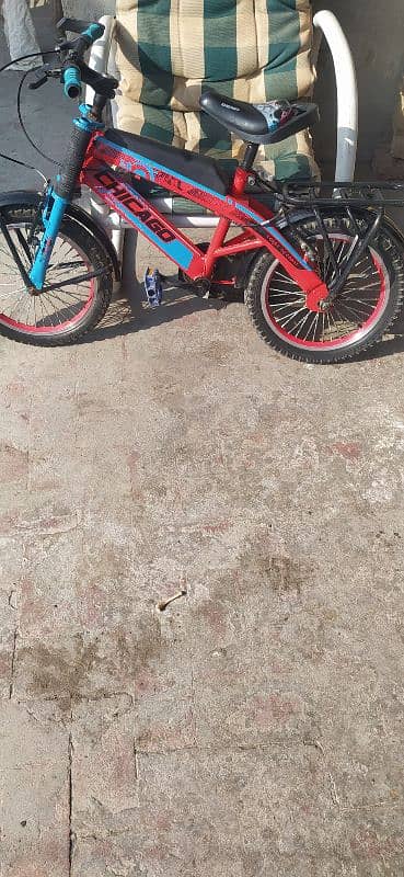 Kids Bicycle 2