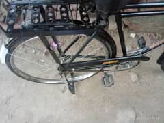 Sohrab 22 inch cycle