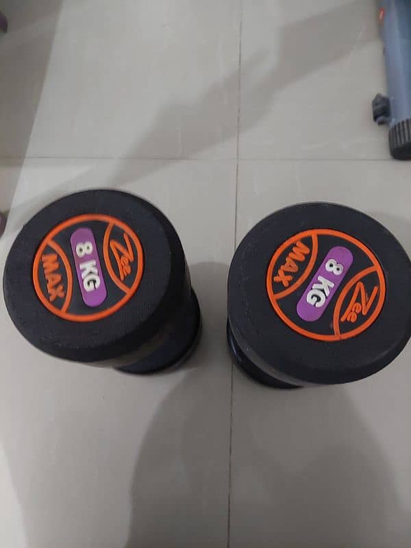 Dumbells 8 Kg Pair 0