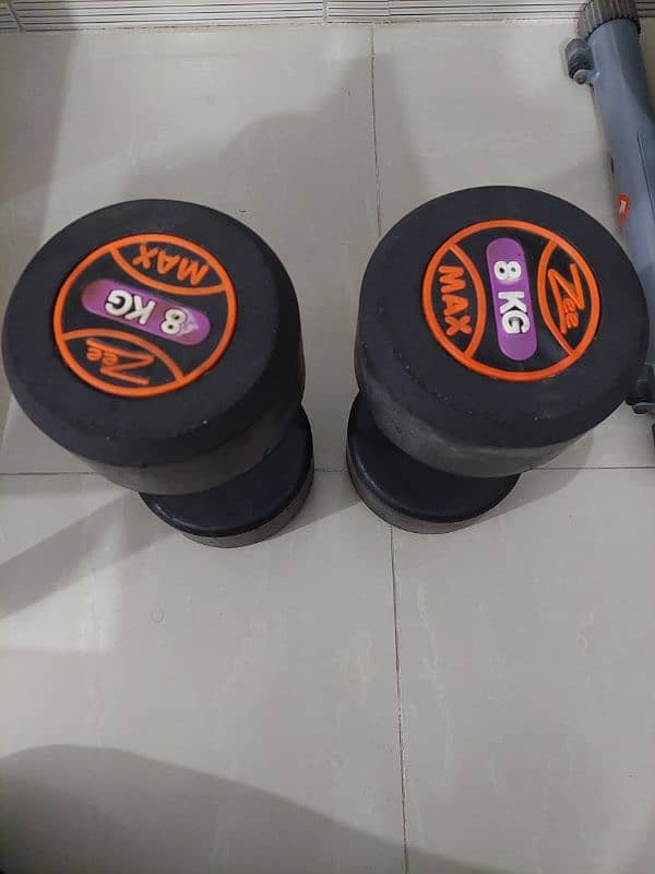 Dumbells 8 Kg Pair 2