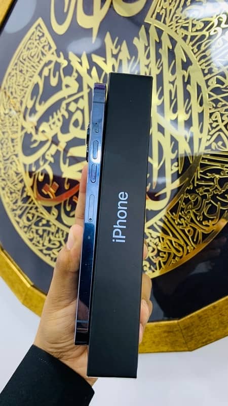 APPLE IPHONE 13 PRO MAX FACTORY UNLOCK 1