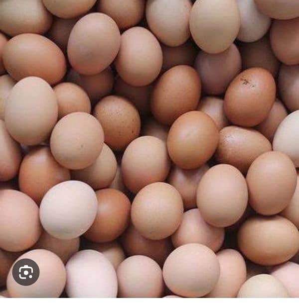 desi eggs 0