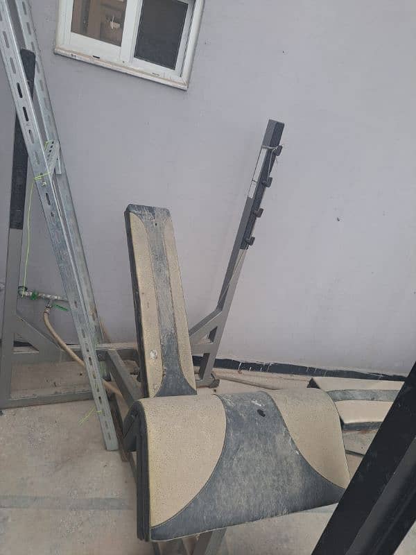 Back pulley machine and Bench press 3