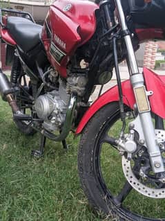 ybr125