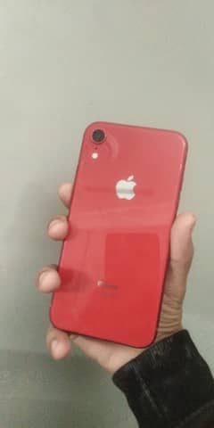 iPhone XR non pta