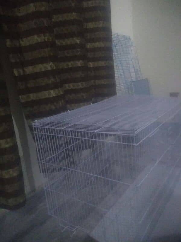 birds cage 0