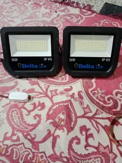 Delta Ip65 flood light 2 light piece sale