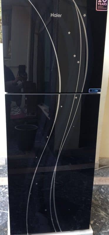 hair glass front two doors refrigerator for sale 0