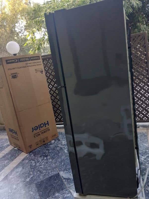 hair glass front two doors refrigerator for sale 4