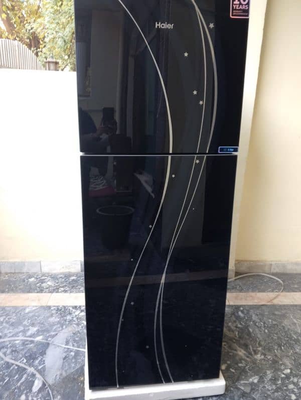 hair glass front two doors refrigerator for sale 5