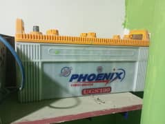 phoneix