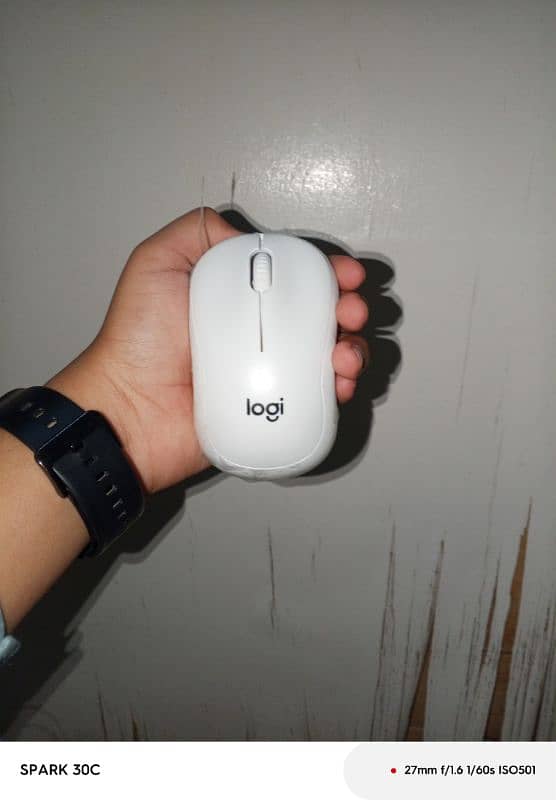 Wireless Mouse 1