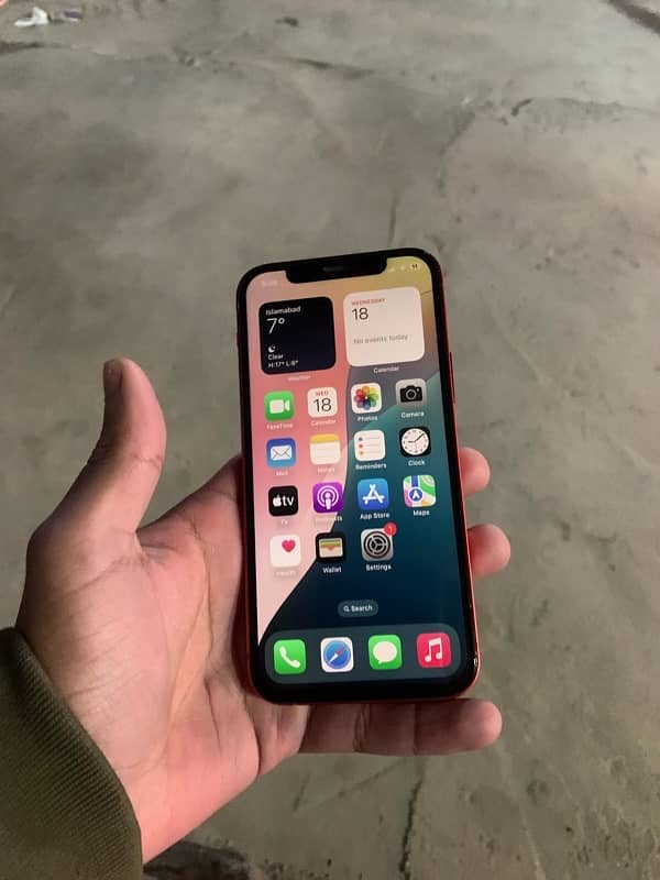 iPhone 12 pta approved 2