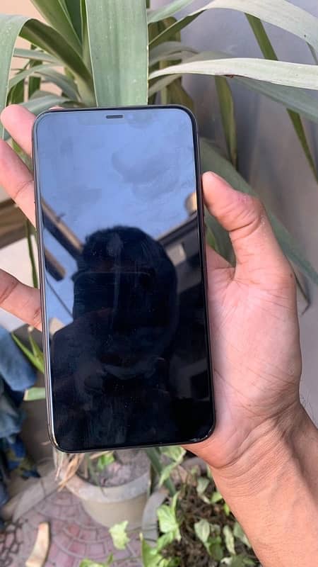 iPhone 11 pro max 256Gb Pta approved 1