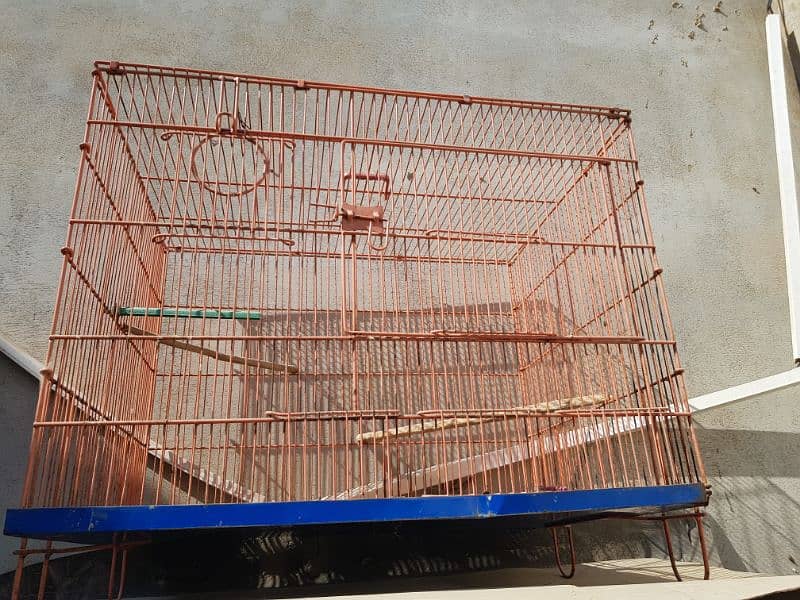 SINGAL CAGE ۔ & CAGE WITH PAIR 4