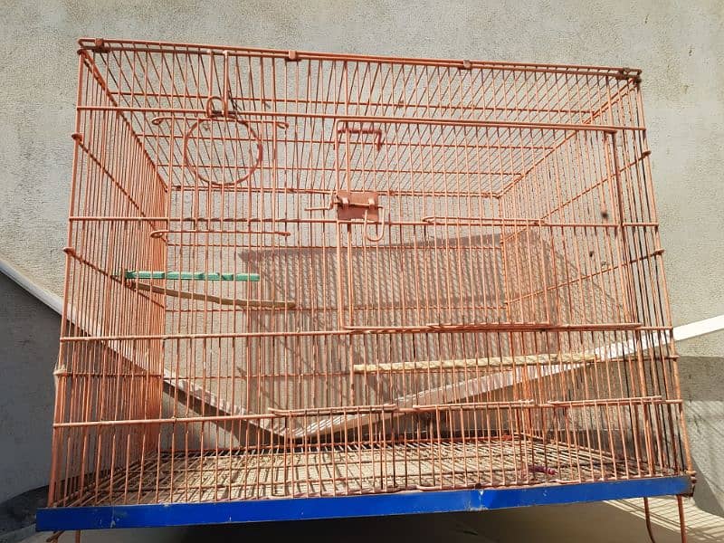 SINGAL CAGE ۔ & CAGE WITH PAIR 5