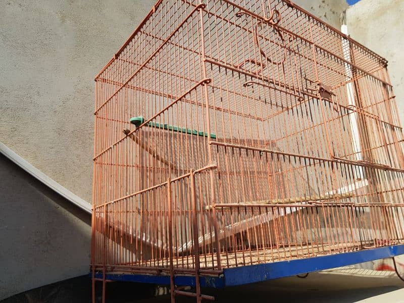 SINGAL CAGE ۔ & CAGE WITH PAIR 6