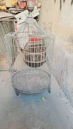 parrot cage