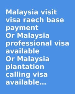 Work Visa Available