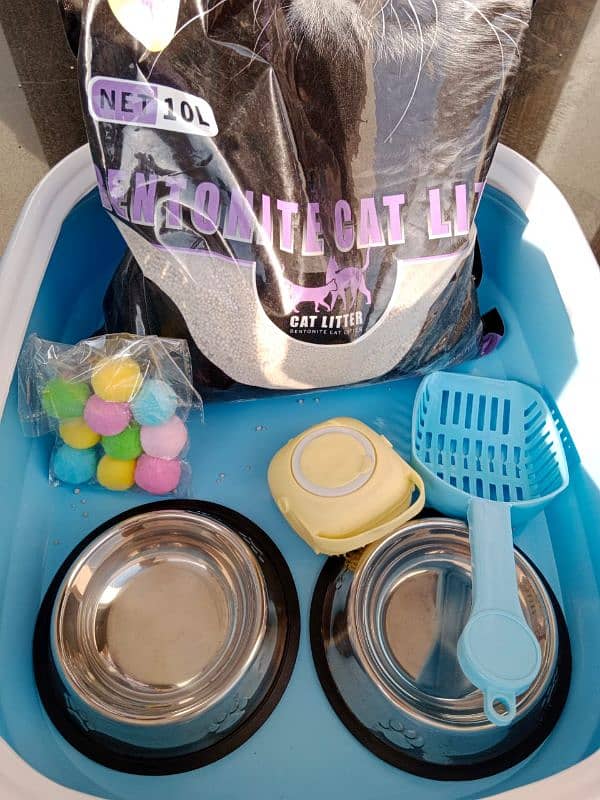 Cat Carry Box,Food + Bowl, Litter+Tray & Items 1