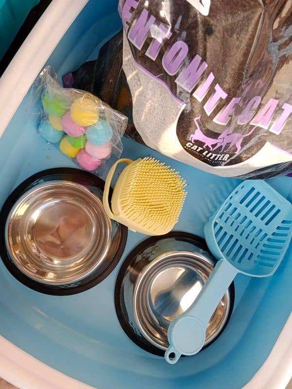 Cat Carry Box,Food + Bowl, Litter+Tray & Items 3