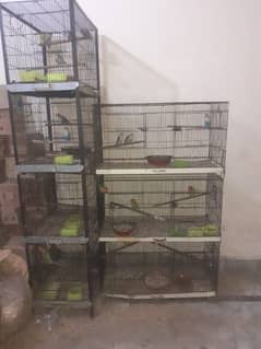 4 PORTION N 3 PORTION CAGE