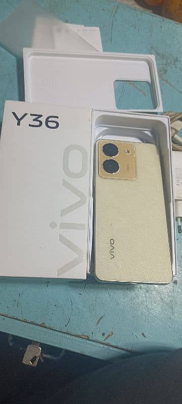 vivo y36  8/256 0