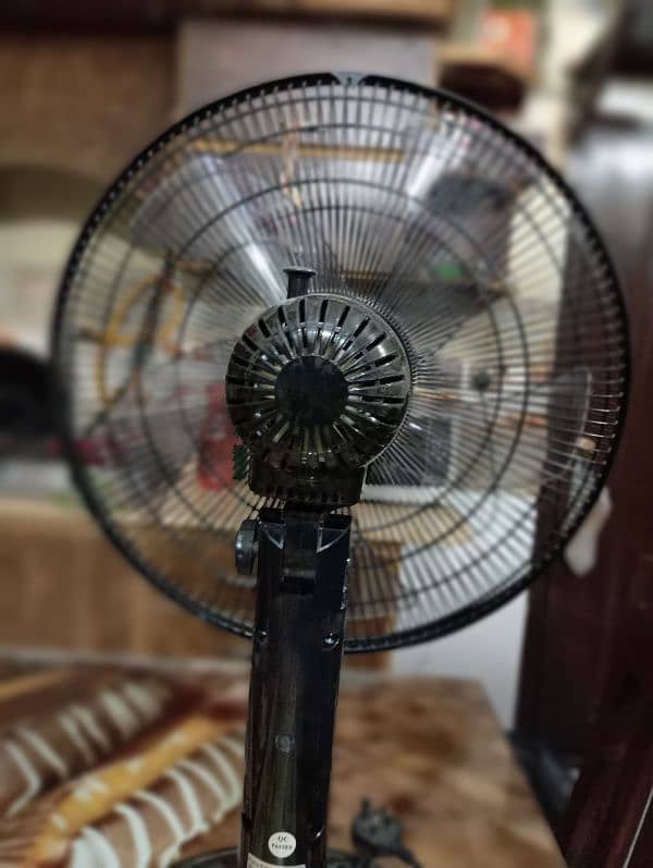 Dot Fan 1