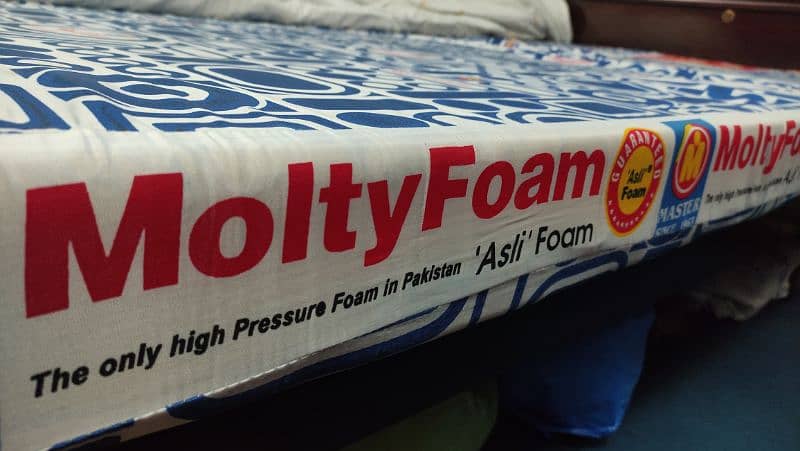 Master Molty Foam 5