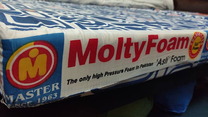 Master Molty Foam 6