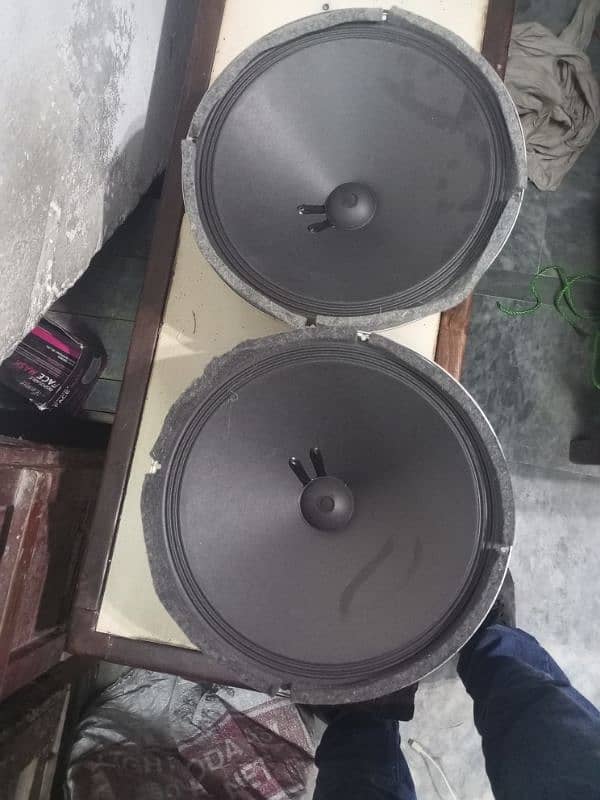 12inch seavey speaker 3