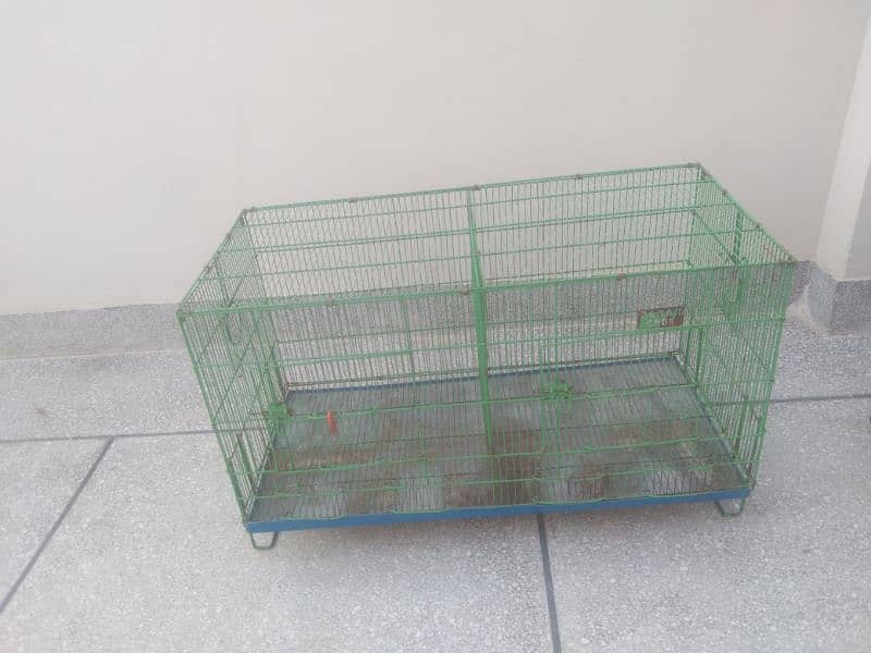 Cage|Hen|Parrot|Pinjra 1