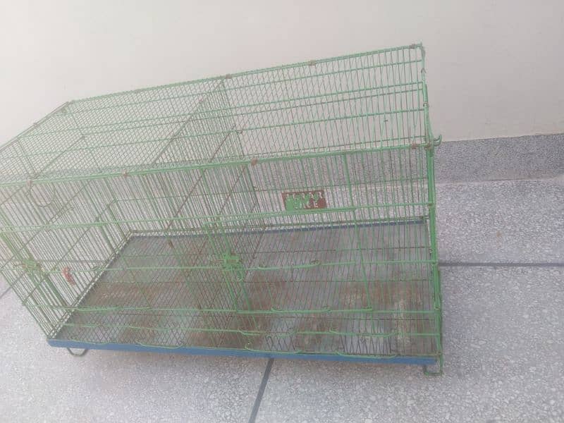 Cage|Hen|Parrot|Pinjra 2