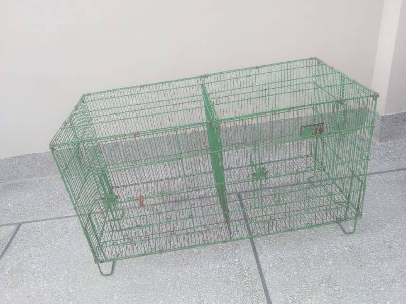 Cage|Hen|Parrot|Pinjra 3