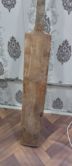 HARD BALL BAT IN JUST 2000 RS