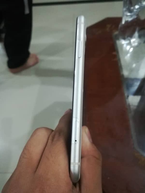 iphone 11 non pta fu 2