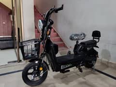 Eveon Zippy Electric Bike For Sale