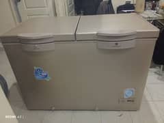 Dawlance inverter deep freezer