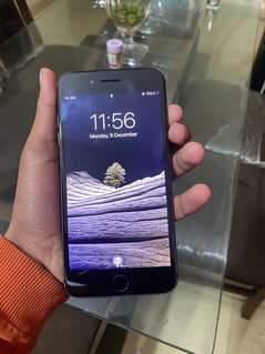 iPhone 7plus 256gb pta approved