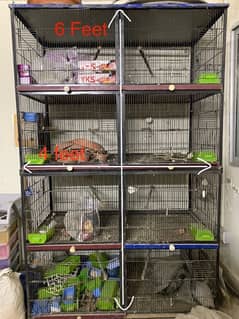 6 foot Bird Cage with partitions