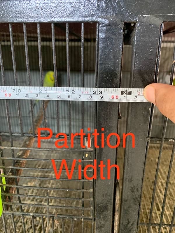 6 foot Bird Cage with partitions 3