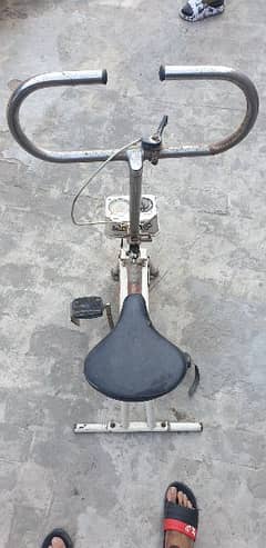 Exercise cycle