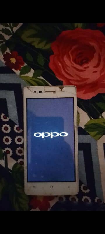 oppo A31t 1