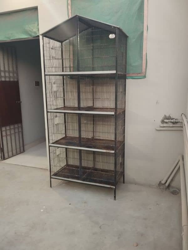 good condition cage pinjara Saeed cage 1