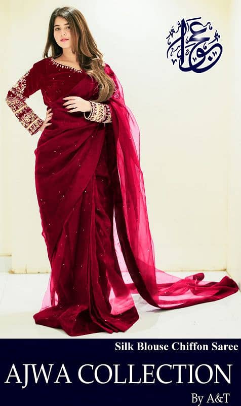 Chiffon Saree 2