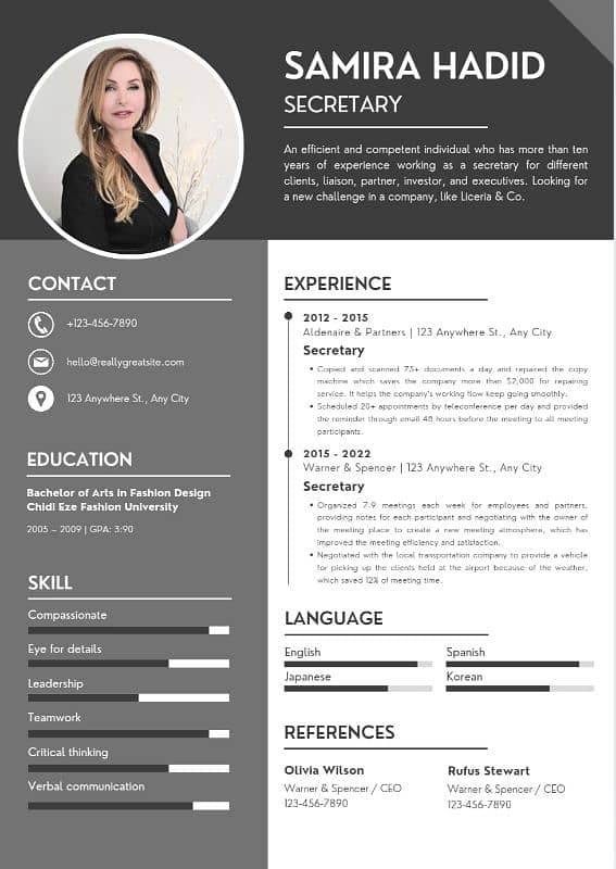 Professional Resume (CV) Maker 1