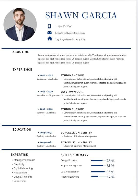 Professional Resume (CV) Maker 3