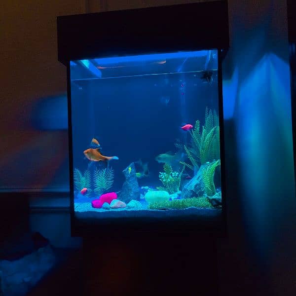 Aquarium for sale with All setup 1